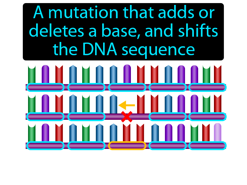 frameshift-mutation-definition-image-gamesmartz