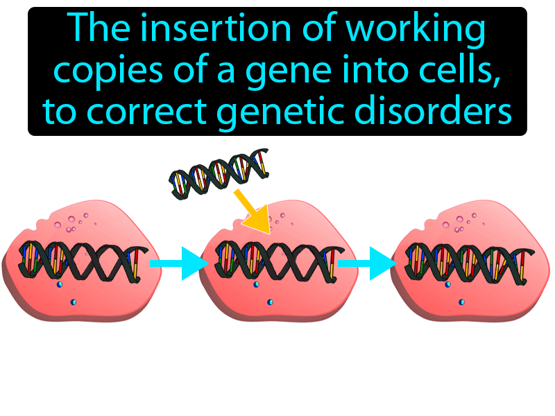 Gene Therapy Definition with no text