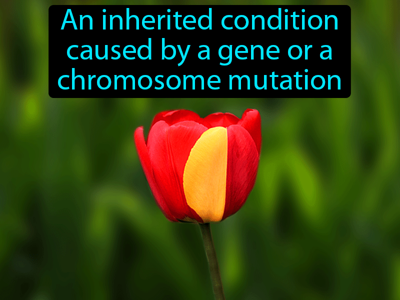 Genetic Disorder Definition with no text