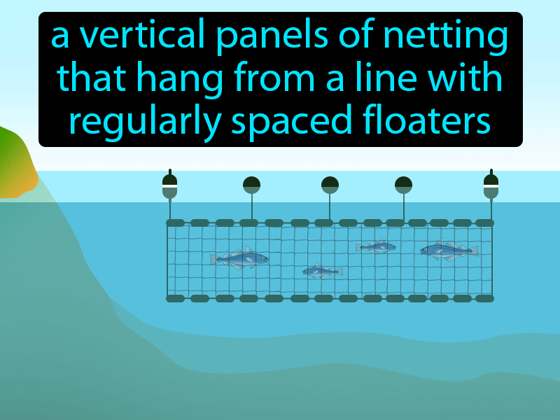 Gill Net Definition with no text