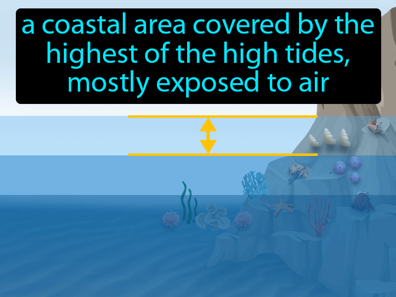 High-intertidal Zone Definition with no text
