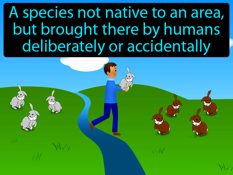Introduced Species Definition with no text