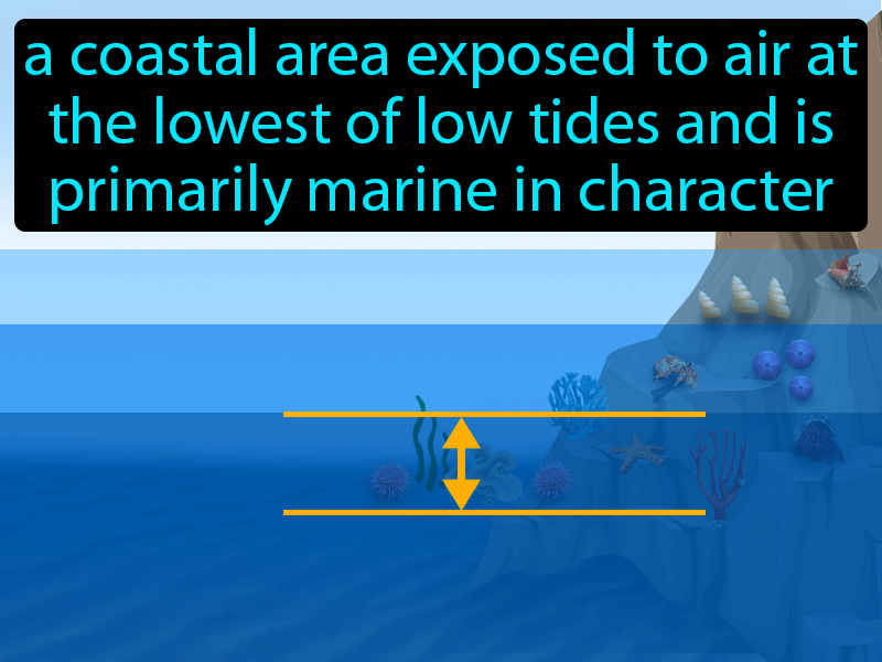 Low-intertidal Zone Definition with no text
