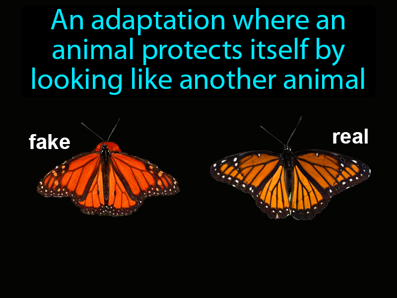 Mimicry Definition Image GameSmartz