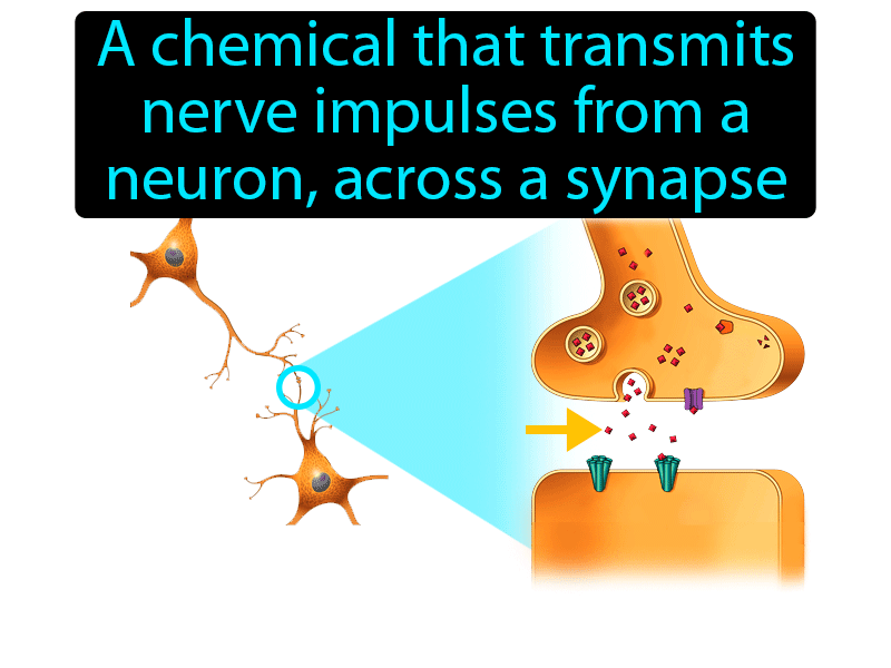 Neurotransmitter Definition with no text