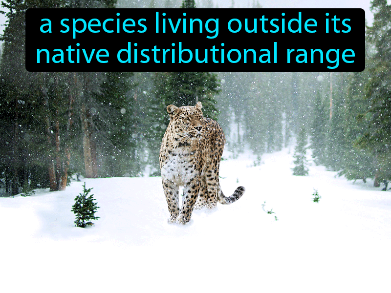 Non-native Species Definition with no text