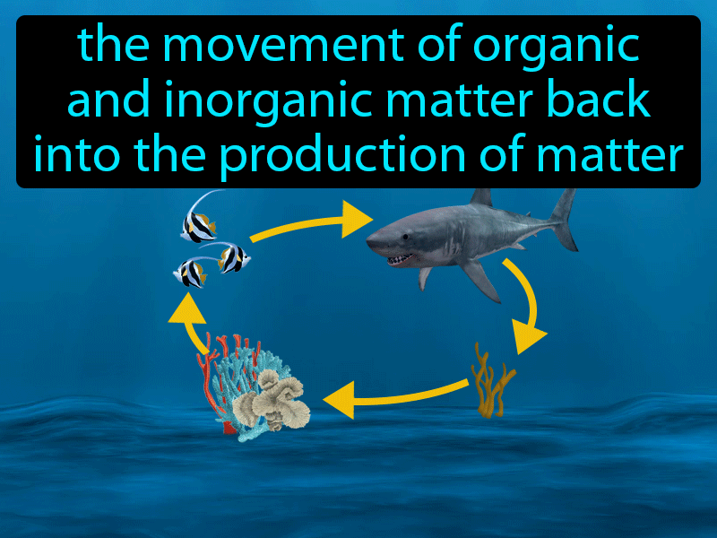 Nutrient Cycling Definition with no text
