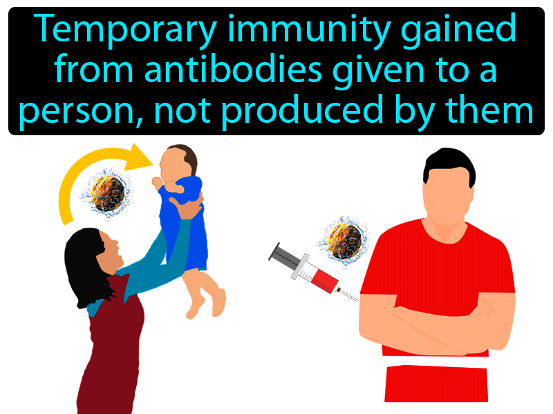 Passive Immunity Definition with no text