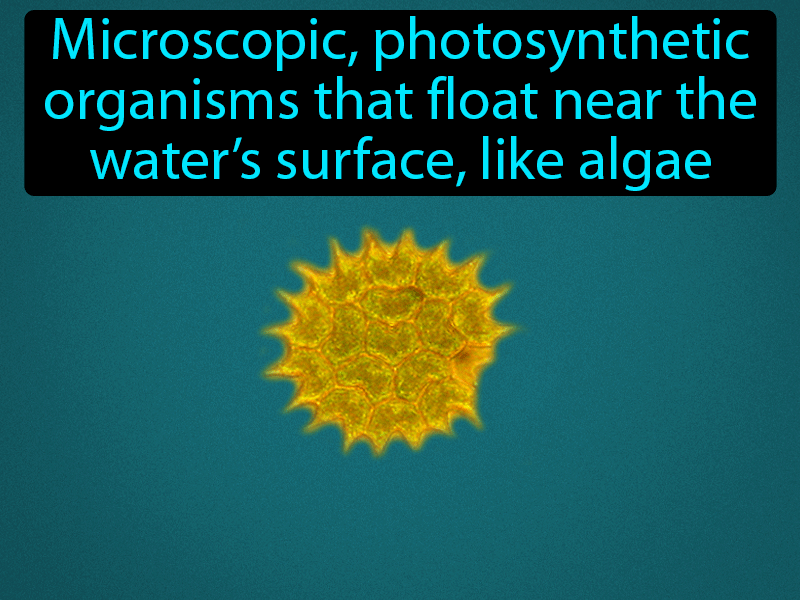 Phytoplankton Definition with no text