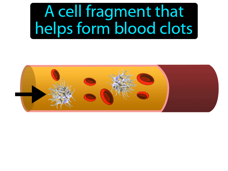 Platelet Definition with no text
