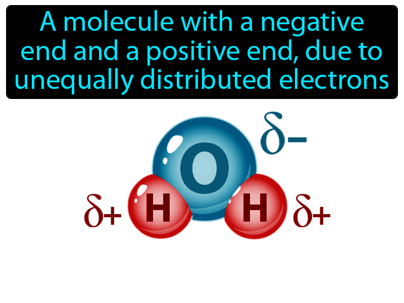 Polar Molecule Definition with no text