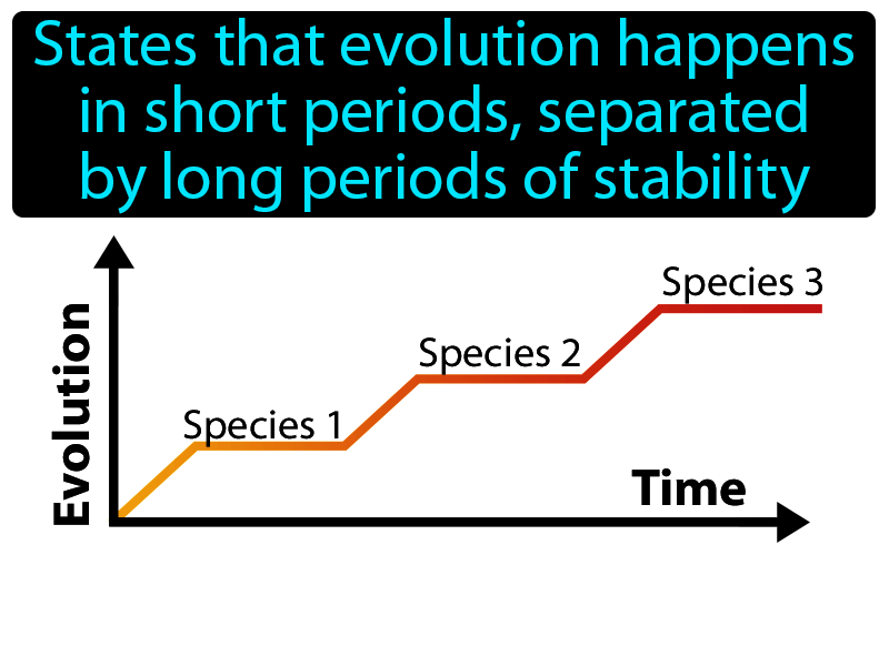 Punctuated Equilibrium Definition with no text