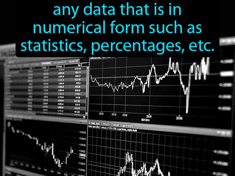 Quantitative Data Definition with no text