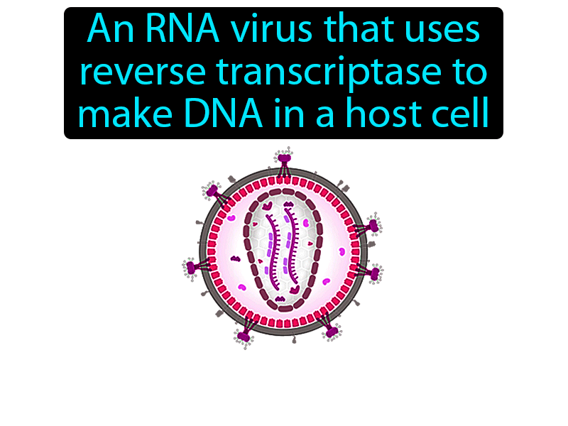Retrovirus Definition with no text