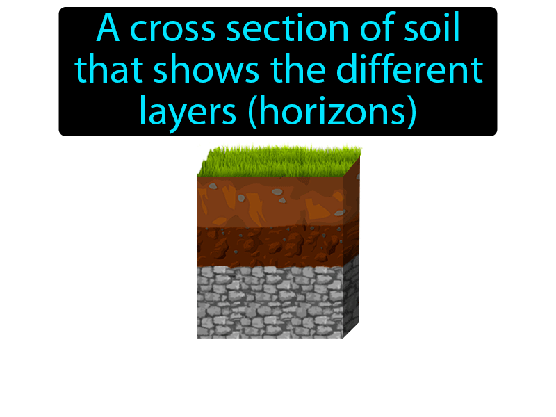 Soil Profile Definition with no text