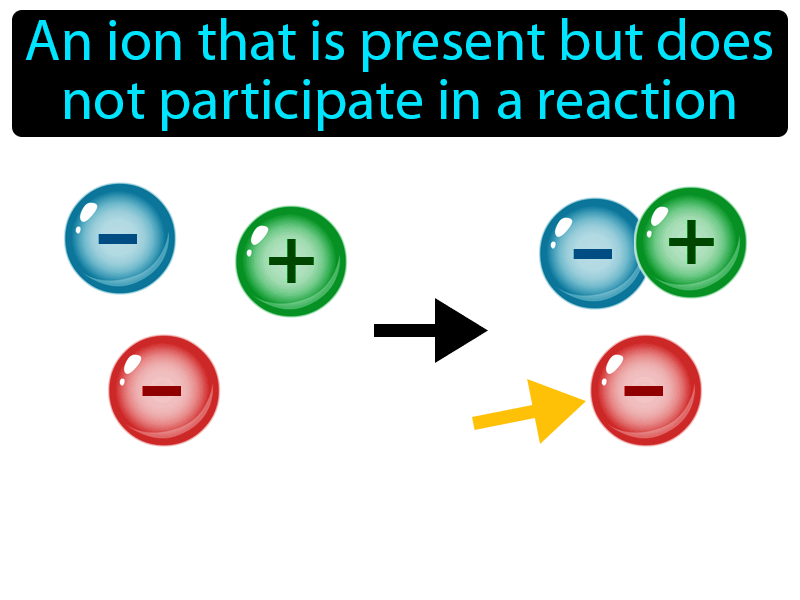 Spectator Ion Definition with no text