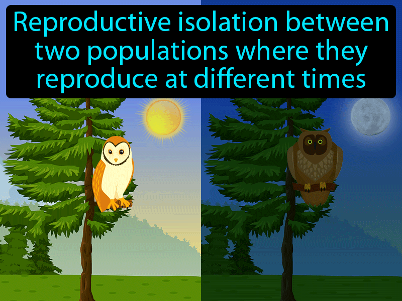 Temporal Isolation Definition with no text