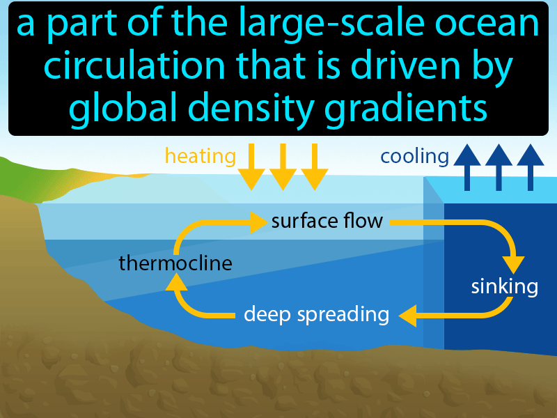 Thermohaline Circulation Definition with no text