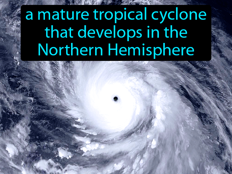 Typhoon Definition with no text