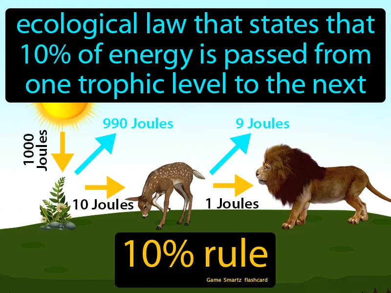10 Percent Rule Definition