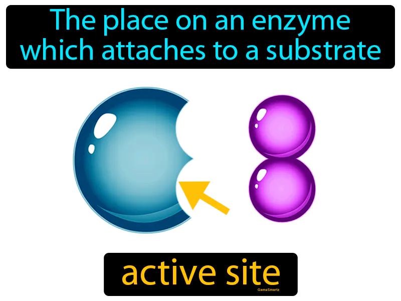 Active Site Definition