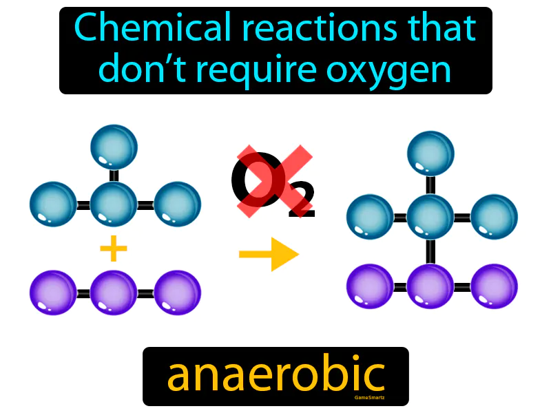 Anaerobic Definition