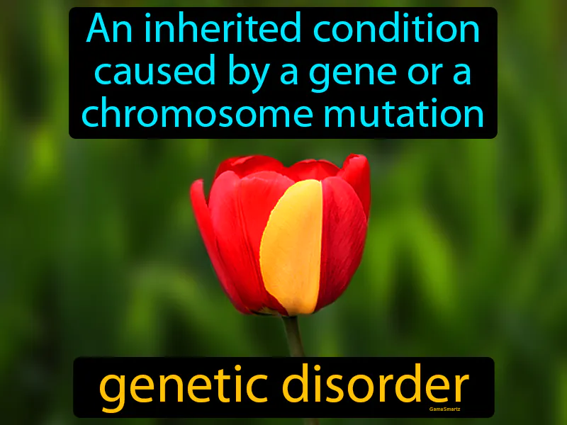 Genetic Disorder Definition Genetic Disorder Definition