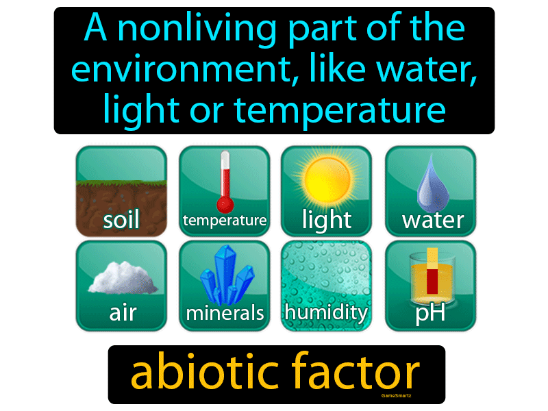 Abiotic Factor Definition