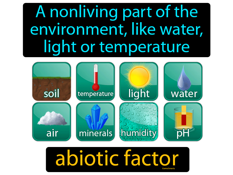 Abiotic Factor Definition & Image | GameSmartz