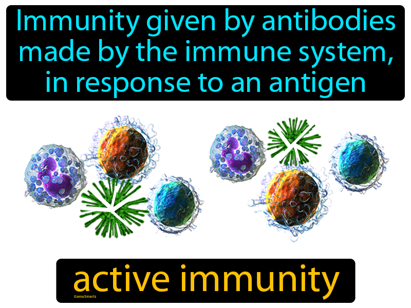 Active Immunity Definition