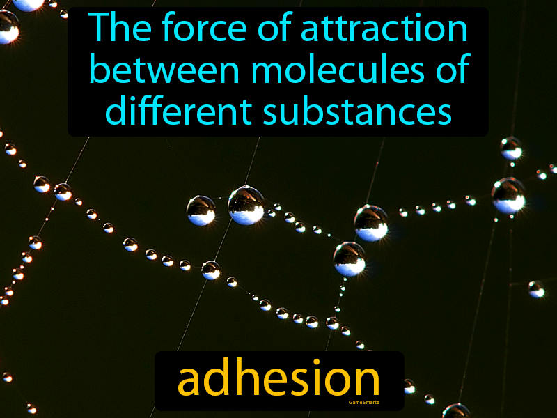 adhesion-definition-image-gamesmartz