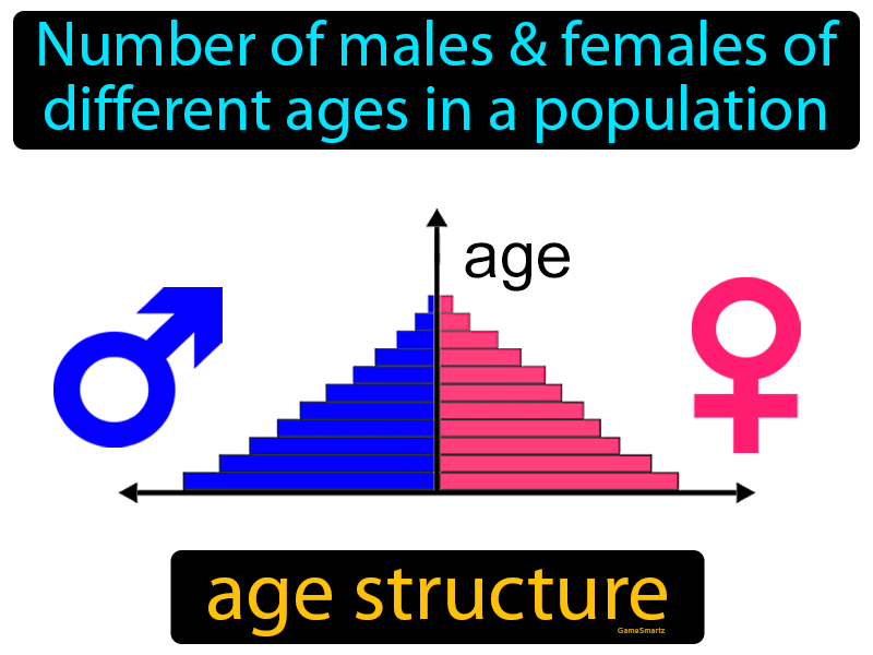 Age Structure Definition