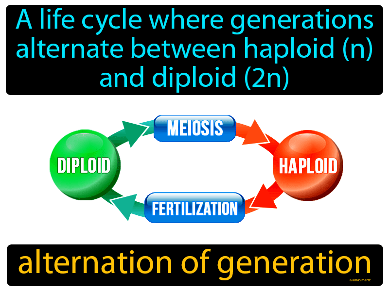 Alternation Of Generation Definition