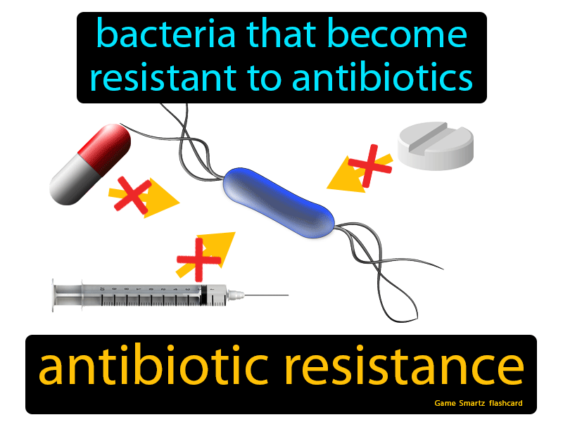 Antibiotic Resistance Definition