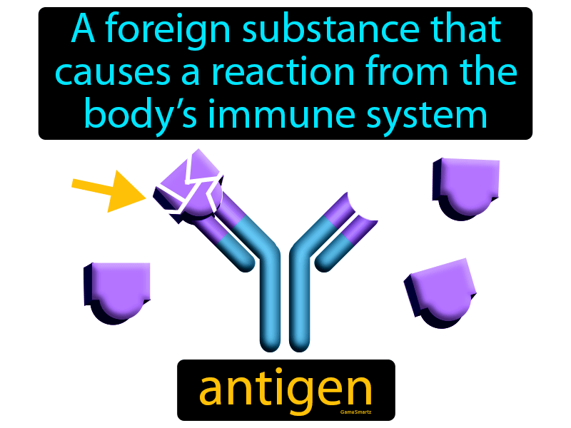 Antigen Definition