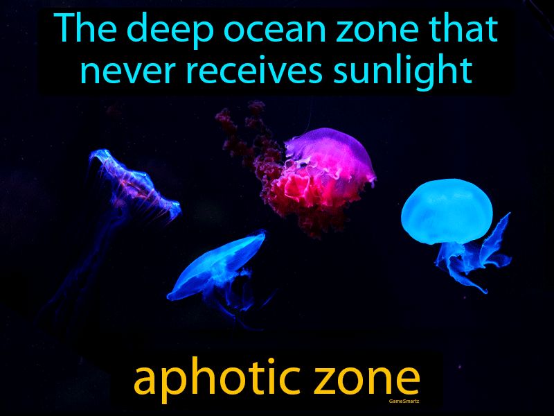 Aphotic Zone Definition