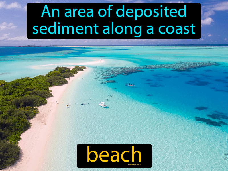 Beach Definition