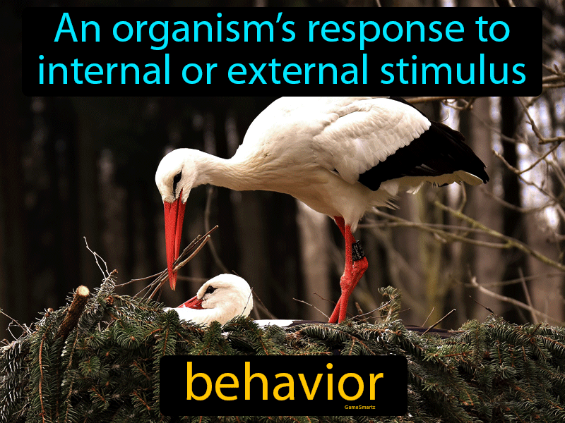 Behavior Definition
