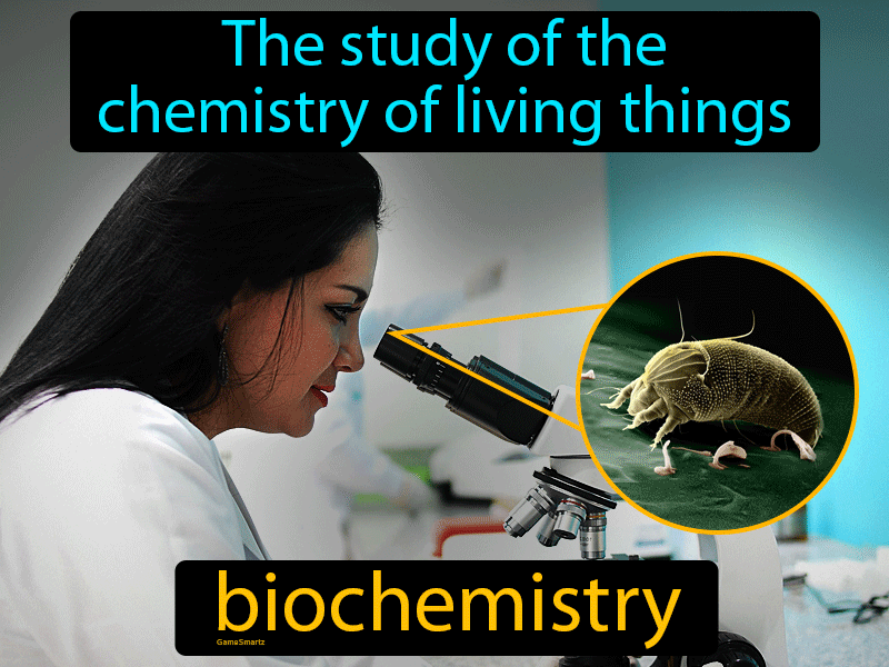Biochemistry Definition