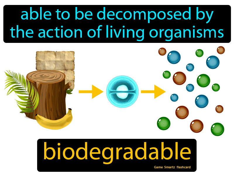Biodegradable Definition