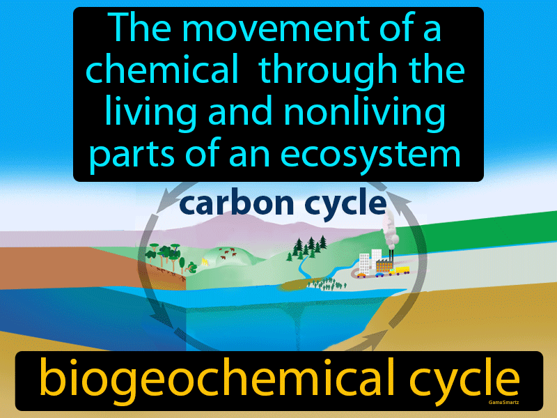 Biogeochemical Cycle Definition