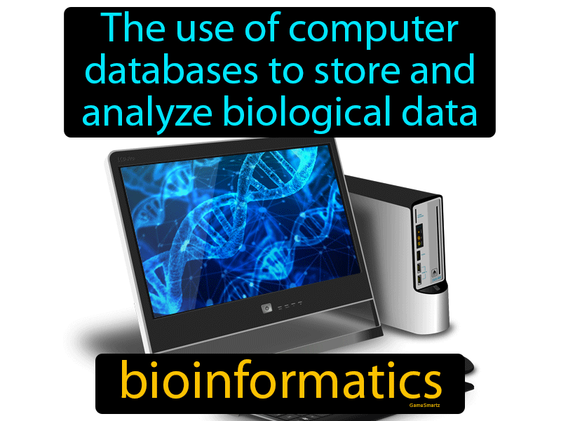 Bioinformatics Definition