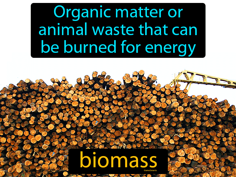 Biomass Definition & Image | GameSmartz