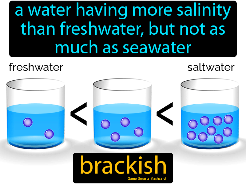 Definition > Brackish water