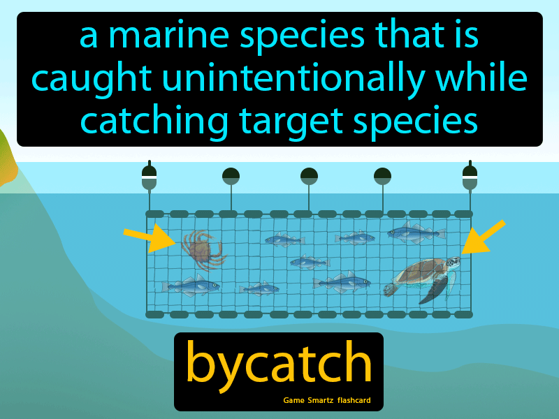 Bycatch Definition