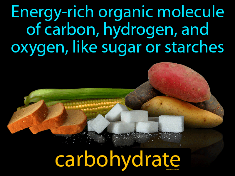 Carbohydrate Definition