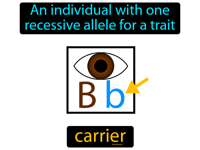 Carrier Definition