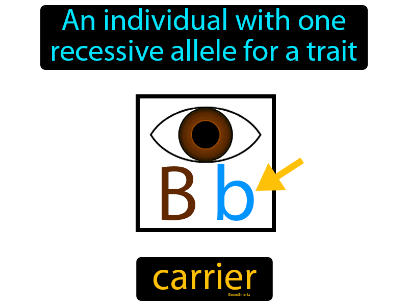 carrier-definition-image-gamesmartz