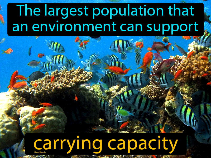 Carrying Capacity Definition