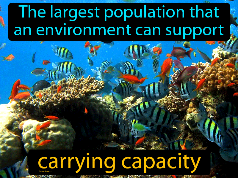 carrying capacity